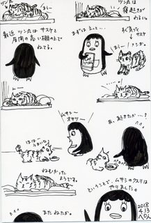 196.jpg