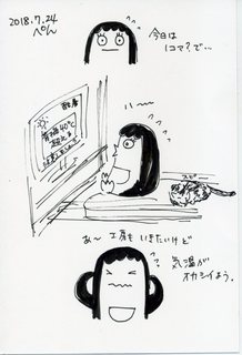 243.jpg