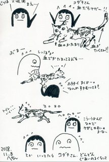 291.jpg