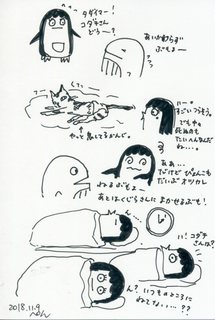 293.jpg