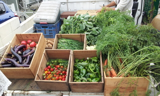 20130908_130704.jpg
