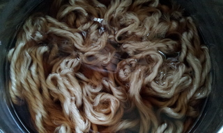 20130910_121628.jpg