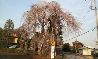 20140401_165332.jpg