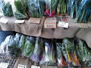 IMG_20170416_104211.jpg
